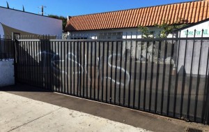 Vandals-spray-paint-mosques